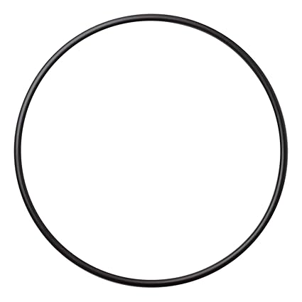 Pentair Plastic Suction Trap Assembly O-Ring || 16920-0012