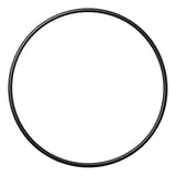 Pentair Plastic Suction Trap Assembly O-Ring || 16920-0012