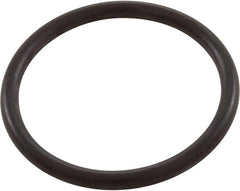 Pentair Bulkhead O-Ring Replacement | 86006900Z