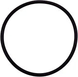 Pentair 355331Z Diffuser O-Ring #2-233