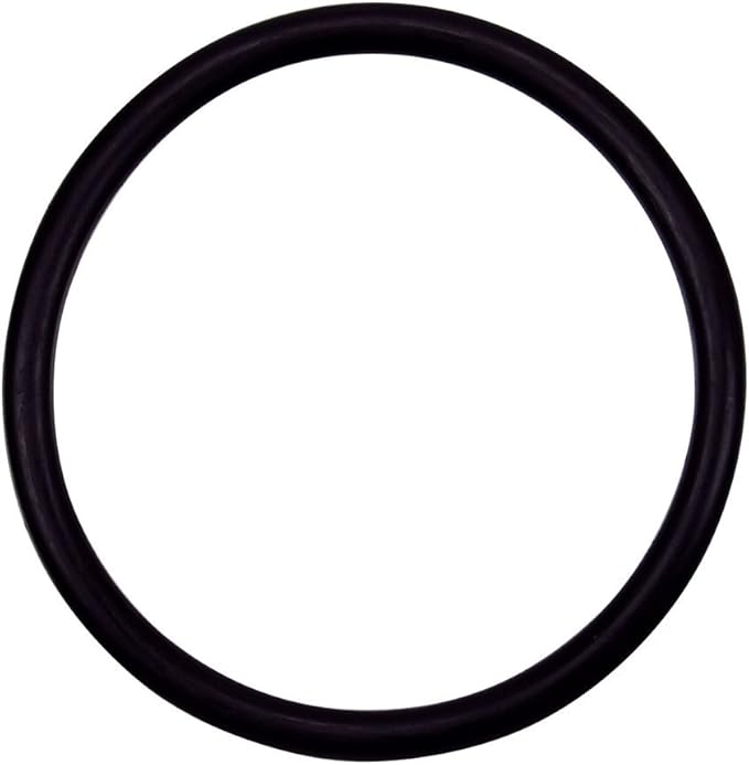 Pentair O-Ring 3/16" x 2 5/8" ID | 154492