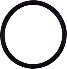 Pentair O-Ring 3/16
