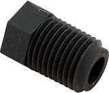Pentair Plug 1/4 NPT Black | 98218900