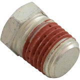Pentair Hex Head Pipe Plug .25" NPT || U78-941ZPV