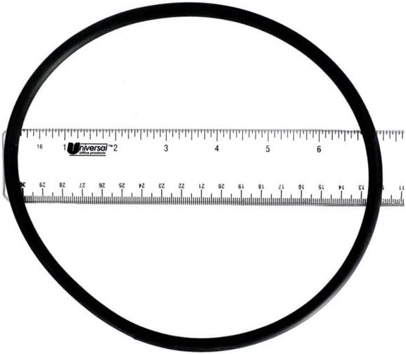 Pentair O-Ring/Filter to Niche ABS Compatible-BUR RL2B | R170070