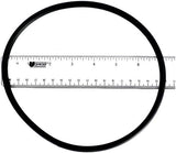 Pentair O-Ring/Filter to Niche ABS Compatible-BUR RL2B | R170070