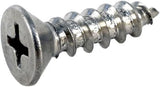 Pentair Screw #10x3/4 SS PH FT | R172612