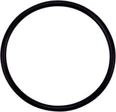 WaterFall Specialty Pump O-Ring, Strainer Pot Flange || 355330