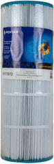 Pentair Clean & Clear Plus 320 Replacement Cartridge | R173573