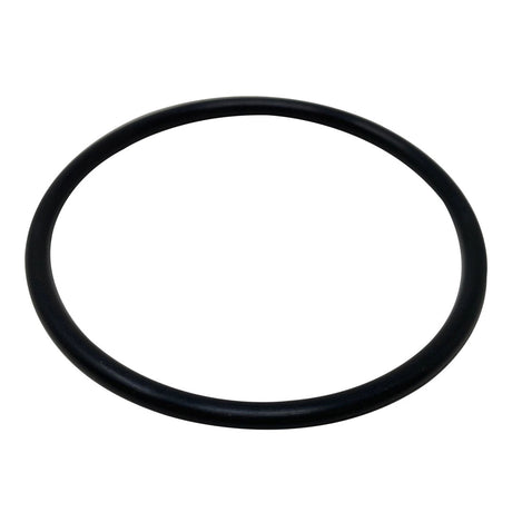 Black rubber O-ring seal for Pentair iChlor acid wash kit stand