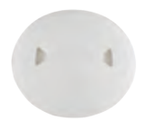 Pentair A&A 542517 white DekClor/Whispa deck lid with collar, manufacturer catalog image.