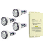 Pentair MicroBrite Color LED Light Combo Kit 100' Cord | 602133