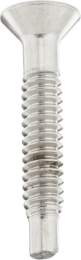 Pentair Pilot Screw, Stainless || 619355Z