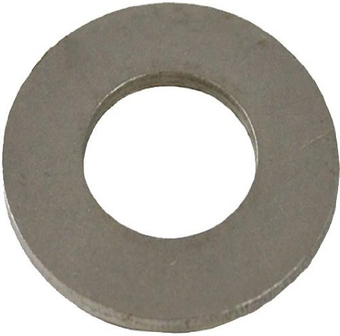 Pentair EQ Series Stainless Steel Flat Washer || 356789