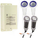 Pentair GloBrite Color Kit (2 GloBrite Color 100 ft.) | 619994
