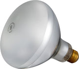 Pentair SunGlow II 500W 120V Bulb Kit | 79102100Z
