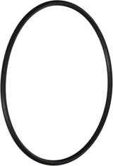 Hayward (AXW541) Leaf Canister O-Ring | O-330-BAGGED