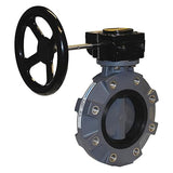Hayward 2 1/2" Butterfly Valve Gear Operated | BYV11025A0EG000