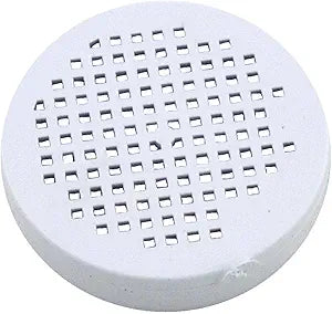 Pentair Screen RCF Check Valve | R172401
