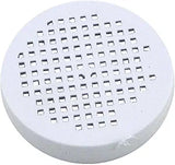 Pentair Screen RCF Check Valve | R172401