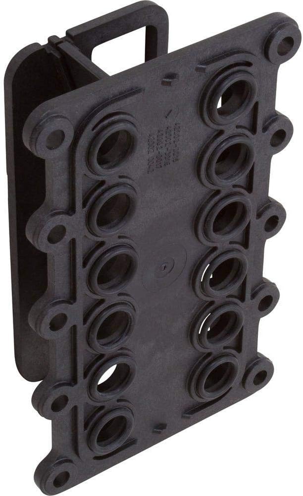Pentair Manifold Internals 400K BTU | 77707-0209