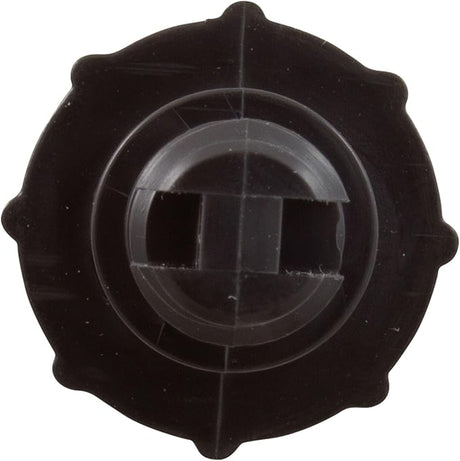 Pentair DRAIN VENT BLACK | R172224XZ
