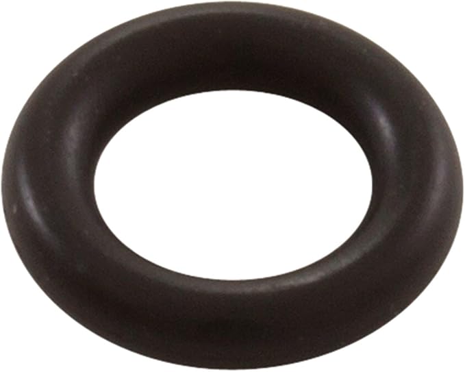 Pentair O-Ring #2-109 Bleeder PTFE Coated | 273513