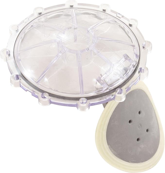 Pentair Check Valve Flapper Replacement Kit || 270119Z