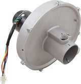 Pentair Combustion Blower Kit 333K LP | 77707-0255