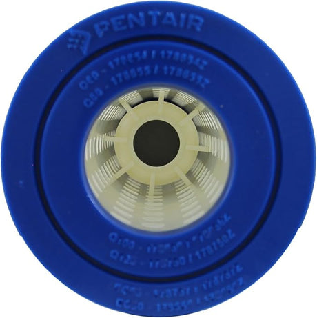Pentair Quad DE 60 replacement cartridge filter core with blue end cap