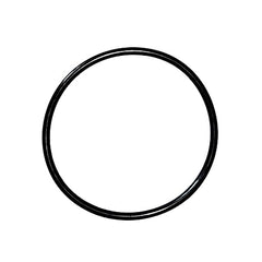IntelliPro VS Pump Seal Plate O-Ring (Square) || 357099Z