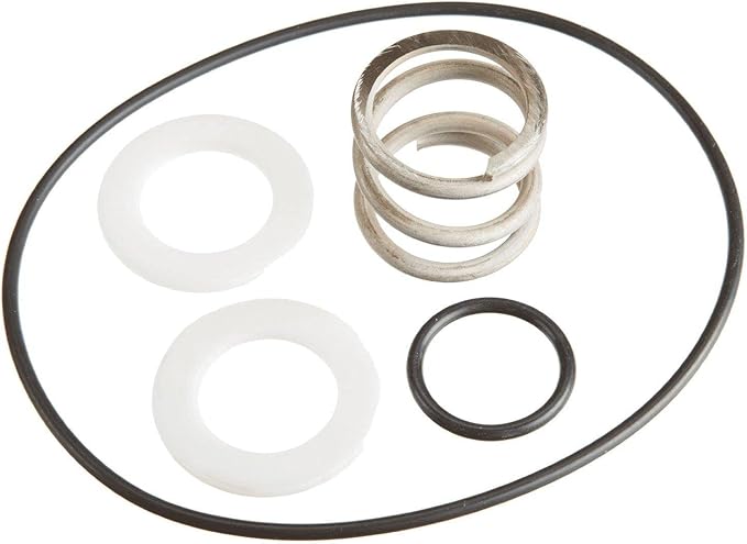 Pentair Spring and O-Ring Kit || 14962-0035
