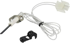 Hayward Ignitor Kit - FD Heaters | FDXLIGN1930