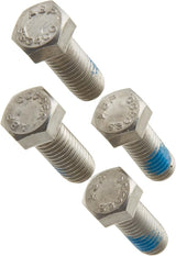 Hayward Motor Mounting Bolts (4-Pack) | SPX3200Z34PAK4