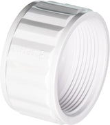 Hayward Union Nut | SPX1480C