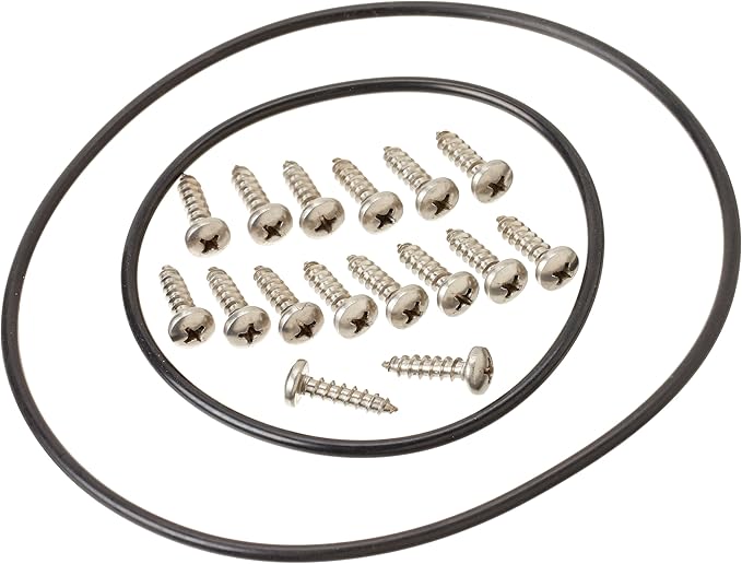 Pentair MagicStream Laminar Hardware Kit All Screws and O-rings || 590031