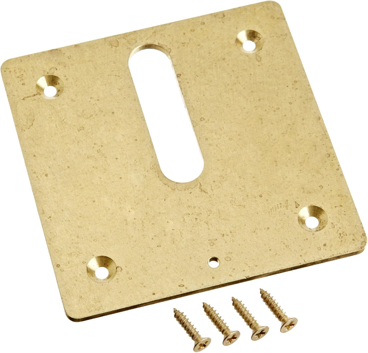 Jandy Brass MiniJet Cover Plate Screws || MJ6370