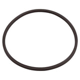 Paramount® Clear Canister Lid O-Ring | 005-152-0120-00
