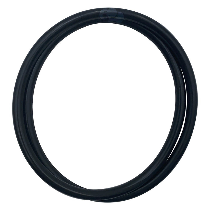 Pentair EasyClean Filter System Body O-Ring