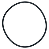 Pentair EasyClean Filter System Body O-Ring | 87300400Z