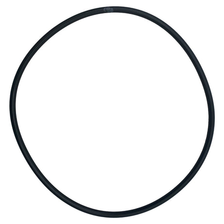 Black circular O-ring seal for Pentair EasyClean filter system body