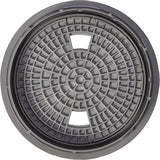 Pentair U-3 Gray Skimmer Lid and Collar || 08650-0169C