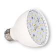 LED light bulb with visible LED chips on a white background