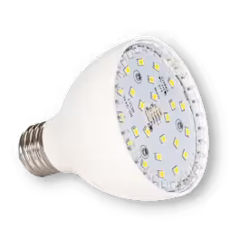 Vivid 20W LED Spa Bulb – MultiColor | VLB2500-MC