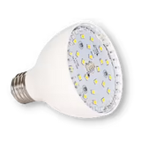 Vivid 20W LED Spa Bulb – MultiColor | VLB2500-MC