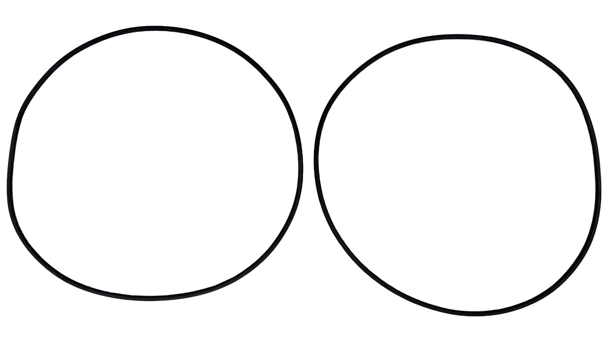 Caretaker (5-13-1) O-Ring Kit || O-516KIT