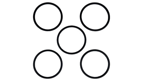 Caretaker (5-13-1) O-Ring Kit || O-516KIT