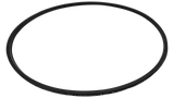 Hayward SwimClear/ProGrid Vertical Grid DE Filter Metal Reinforced Seal O-Ring | DEX2422Z2