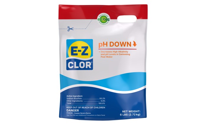 E-Z Clor 6 lb pH Down Pouch | 47247520