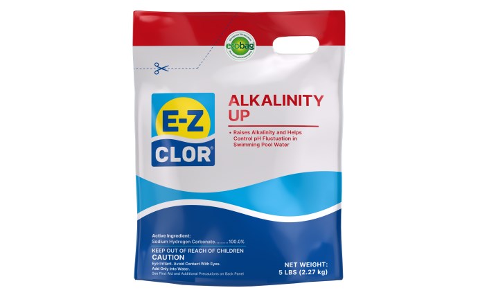 E-Z Clor 5 lb Alkalinity Up Pouch | 47247390